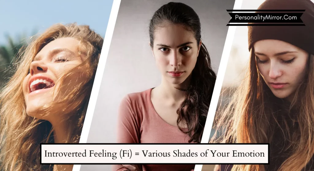 Introverted_Feeling_Fi_Various_Shades_of_your_emotion